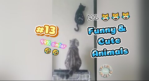 3 minutes of Funniest 🤣🤭 and Cutest😍😹 Animals videos #13