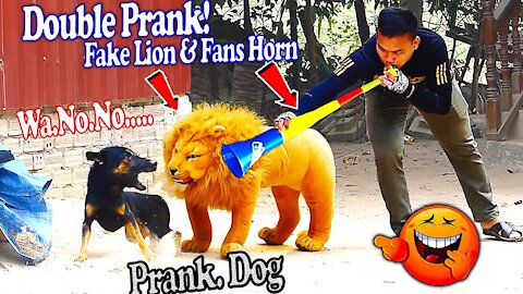 Wow Nice 2 Dogs Pranks___ Fake Tiger Prank Dog So Funny Dog Try To Stop Laugh Challenge