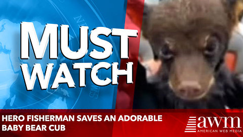 Hero fisherman saves an adorable baby bear cub