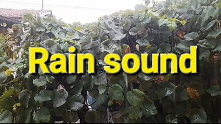 Rain sound to relax and sleep