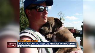 Local animal rescue group heads to Houston