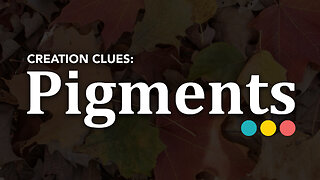 Why do leaves change color? All about fall pigments! [CREATION CLUES S01E04]