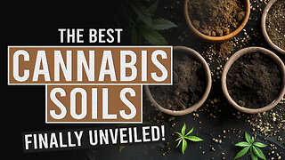 The Cannabis Connoisseur’s Guide to the Best Growing Soils!