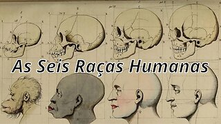 As Seis Raças Humanas