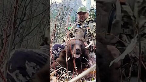 Wyoming Black Bear