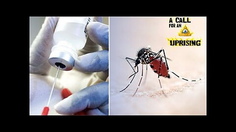WATCH THIS BEFORE ITS DELETED! GMO MOSQUITO'S BEING USED AS WAY TO V-A-C-C-l-N-A-T-E!
