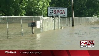 Washington County SPCA forced to evacuate