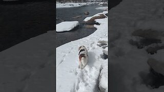 Checking Out The River... 😍