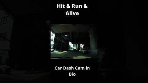 Hit & Run & Alive