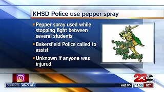 KHSD police officer utilizes pepper spray during fight at West High