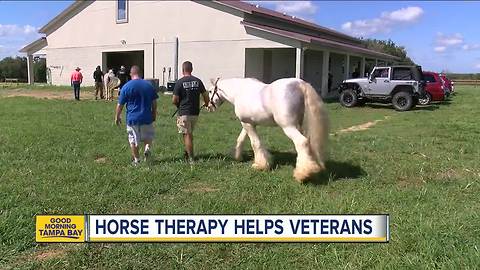 Horse therapy helps vets, kids with disabilities