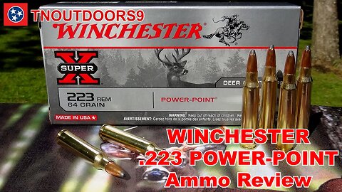 .223 Winchester POWER-POINT Ammo Review