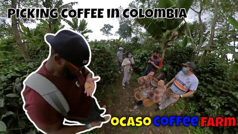 Ocaso Coffee Tour | Salento, Quindio, Colombia