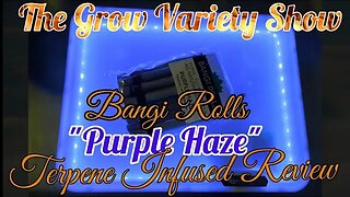 Better Than Mike Tyson Wraps? Bangi Rolls Review (The Grow Variety EP.222)