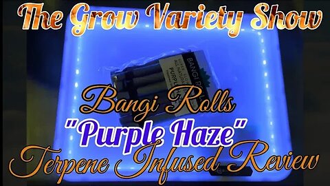 Better Than Mike Tyson Wraps? Bangi Rolls Review (The Grow Variety EP.222)