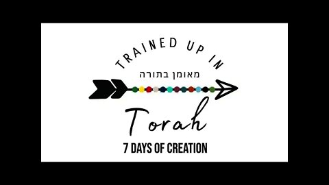 7 Days of Creation- Sabbath School