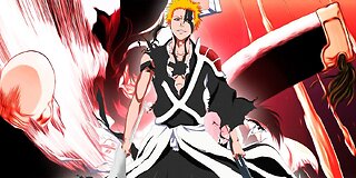 Bleach [AMV] The Animal I have Become