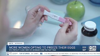 The BULLetin Board: More women opting to freeze eggs