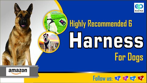 Highly Recommended 6 Harness Perfect for Dogs | Amazon Product | Smart Pets Gadgets