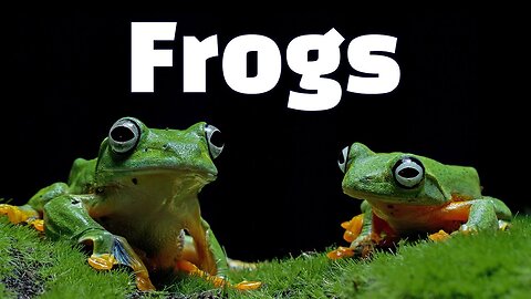 10 Amazing Frogs & Toads Facts | All about Frogs for Kids
