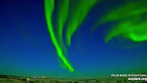 Northern Lights-Churchill, Canada 🌟 12/08/22