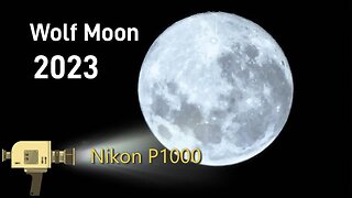 Wolf Full Moon 2023 Nikon P1000