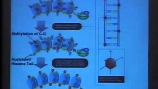 Pt. 1 Frederick vom Saal - BA, MS, PhD discusses potential risks of Bisphenol A IAOMT 2007 Tucson