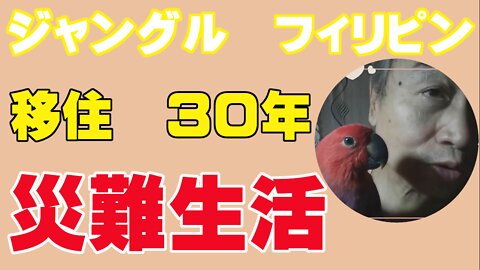 危険な事業リスク、フィリピンの現実のお話。企業乗っ取り！