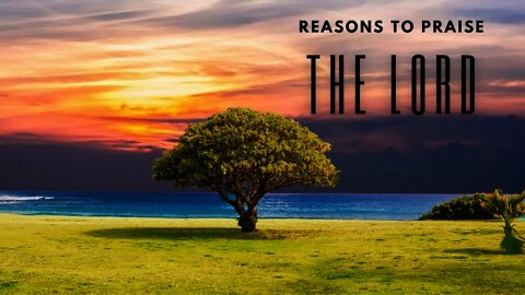 Reasons to Praise the Lord | Preached by Pastor Anderson