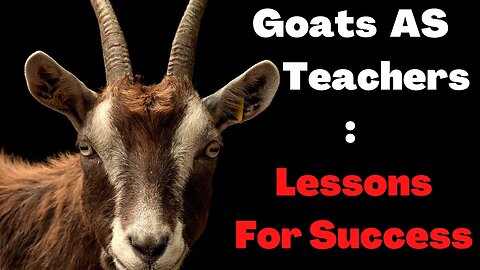 10 Powerful Life Lessons We Can Learn from Goats