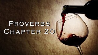 Proverbs Chapter 20 | Pastor Anderson