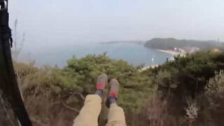 Paraglider gets stuck in tree during flight