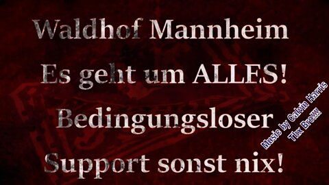 Waldhof Mannheim es geht um alles! Bedingungsloser Support sonst nix!