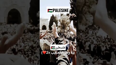 جنة جنة جنة تسلم يا وطنا 🇵🇸🇵🇸 #فلسطين
