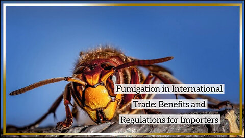 Exploring Fumigation: Ensuring Pest-Free Importation in International Trade