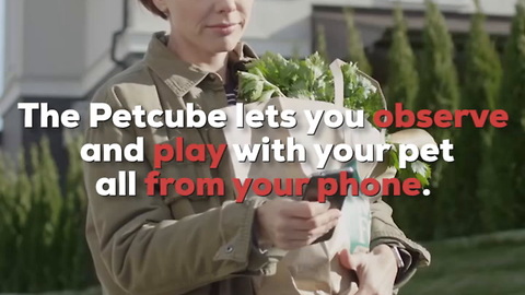 The Petcube Allows You to Play with Your Pet from Your Phone!