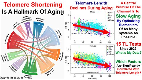 Telomere Length Test #15: Correlations With Diet