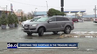 Christmas tree shortage in the Treasure Valley