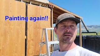 Painting the Cabin again!
