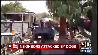 FD: 2 hospitalized after west Phoenix dog attack