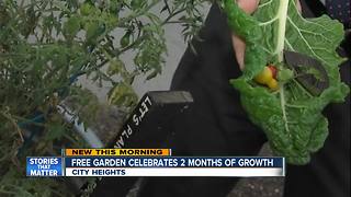 Free garden celebrates 2 months of growth