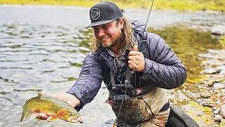 Trout FishingTips, Tricks, & Tactics (LIVE DISCUSSION)