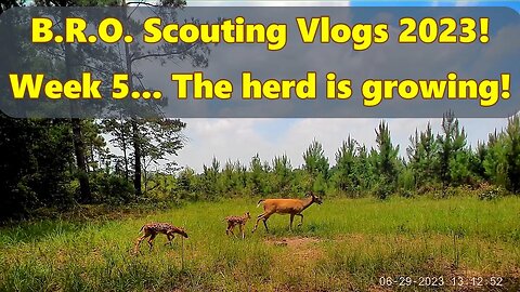 B.R.O. Scouting vlogs 2023! Week 5... It's HOT!