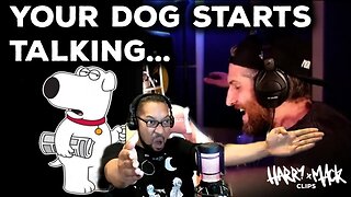 Talking Dog - Harry Mack Freestyle[REACTION]