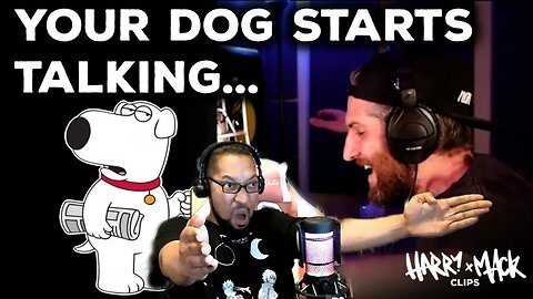 Talking Dog - Harry Mack Freestyle[REACTION]