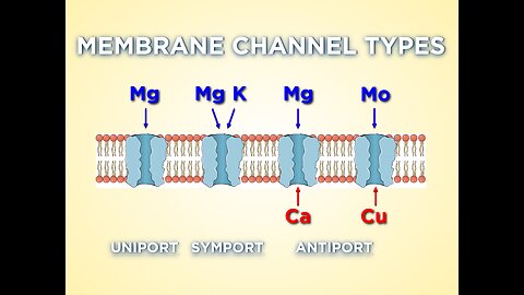 It is crucial to prevent the alteration of the cell membrane by building up strength and resiliency!