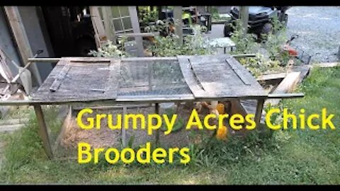 Grumpy Acres Brooders..