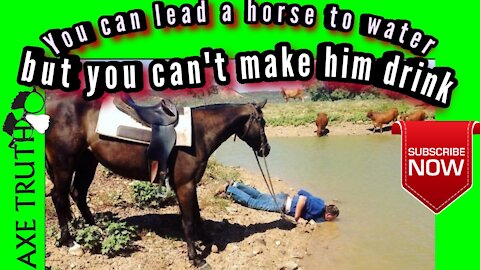 You Can Lead A Horse to Water , But You Can't make him drink