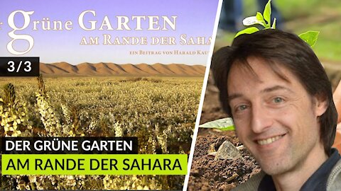 Der grüne Garten am Rande der Sahara - von Harald Kautzvella