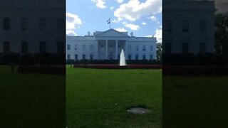 10/19/22 Nancy Drew-Video 1(11:45am)- WH Area-Pay Attention to Julie Green(Link in Description)